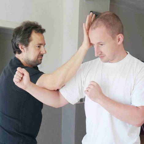 Bagua-Formen-Anwendung
