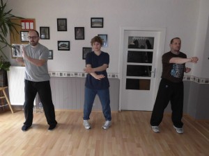 Wing Chun Formentraining  